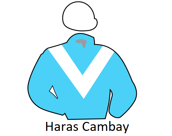 Haras Cambay